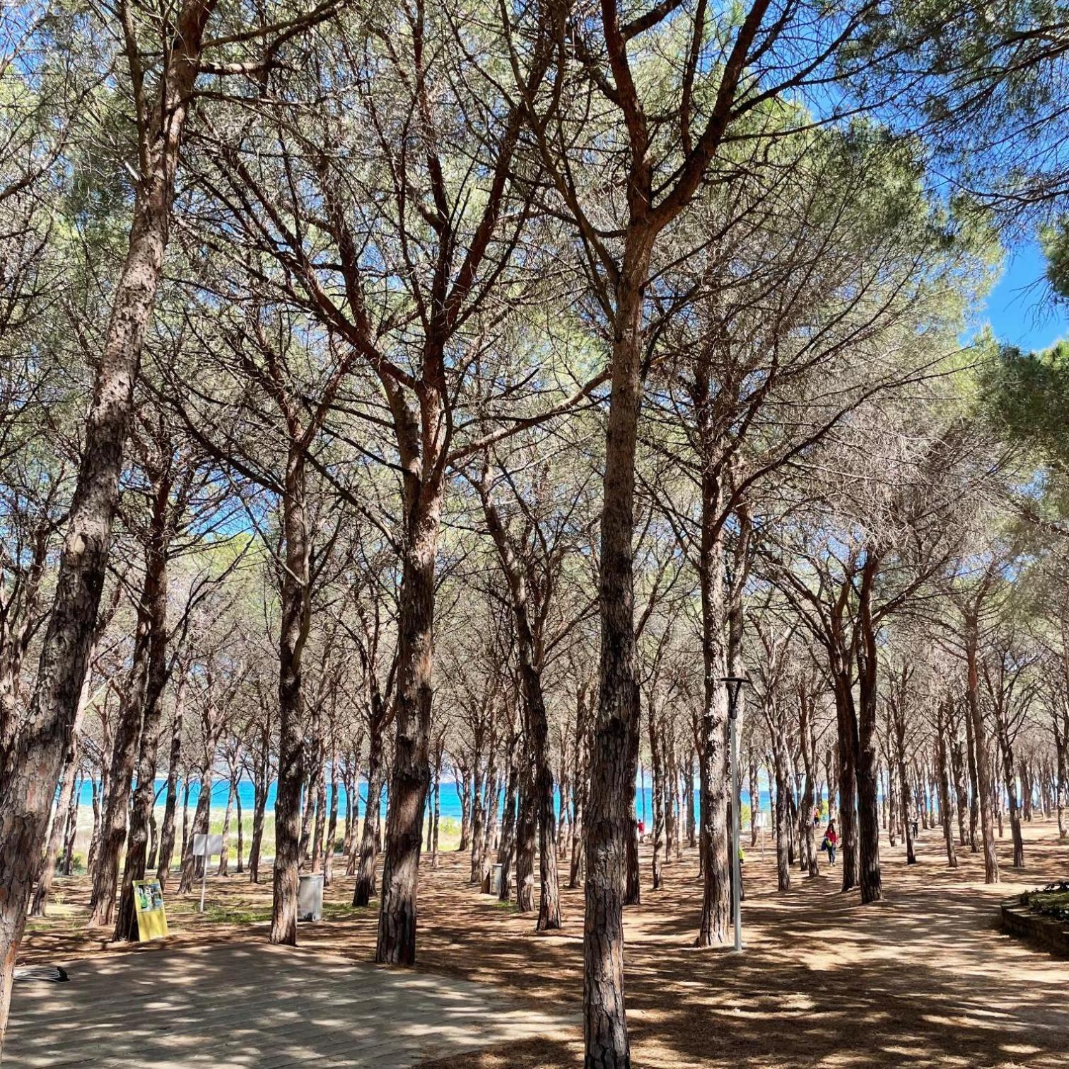 Sorres De Mare Villa Budoni Dış mekan fotoğraf